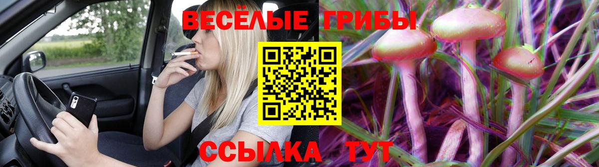 Волгодонск  Галлюциногенные грибы прущие грибы  Вход с VPN  Псилоцибиновые грибы GOLDEN TEACHER 